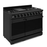 Thor Kitchen Black Stainless Steel Freestanding Professional Double Oven Gas Range|Gordon Ramsay Series (7 cu.ft.) - RSG48EB