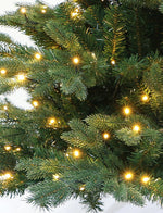 Lindenn 7ft Life-like Frasier Fir Pre-lit Christmas Tree - Warm White