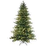 Lindenn 7ft Life-like Frasier Fir Pre-lit Christmas Tree - Warm White