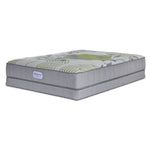 BeautySleep Max Calm Tight Top Firm Queen Mattress and Low Profile Boxspring Set