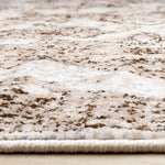 Antique Charm 5'3" x 7'7" Distressed Classic Area Rug - Brown, Grey, White