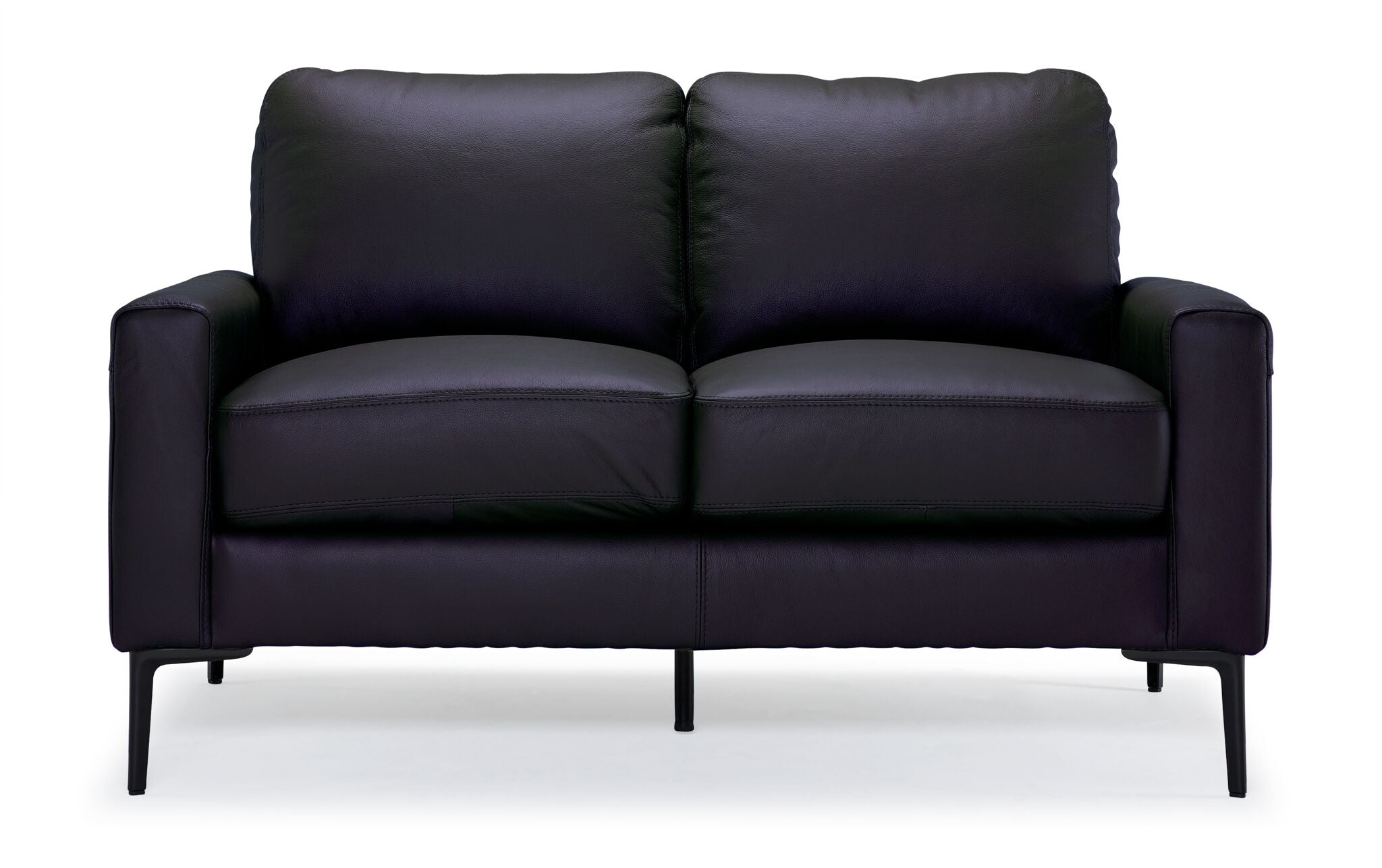 Chito Leather Loveseat - Raven