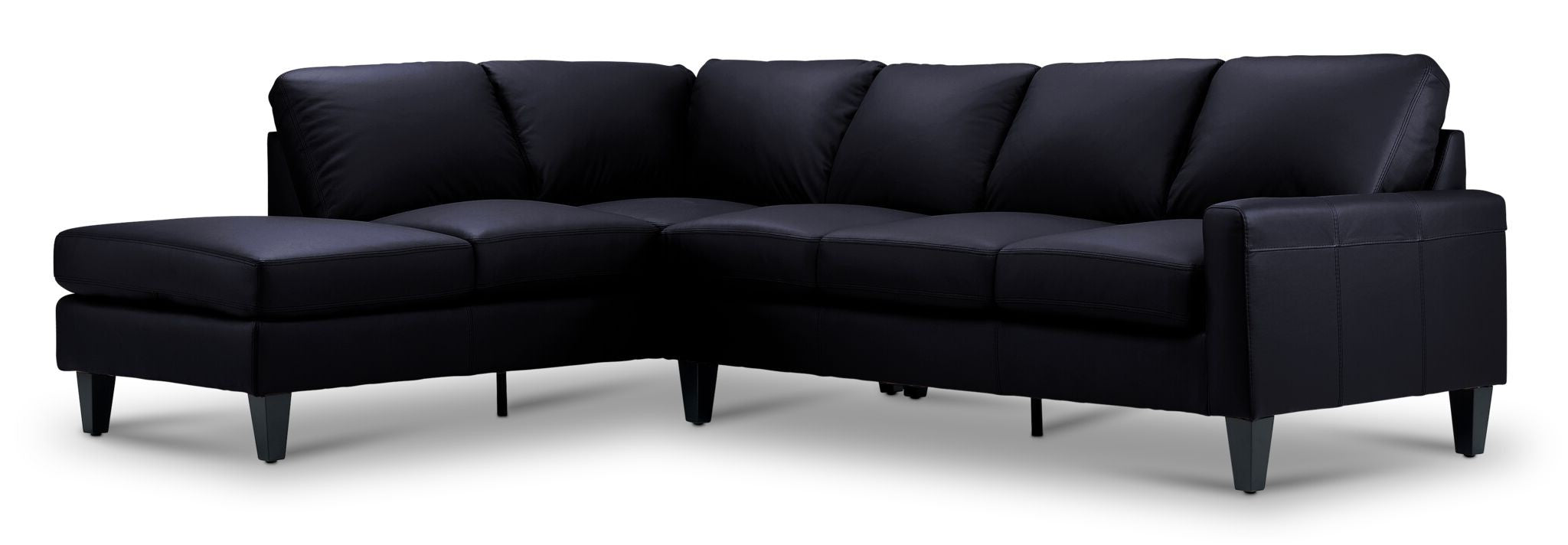 Chito Leather 2-Piece Sectional with Left Facing Chaise - Raven
