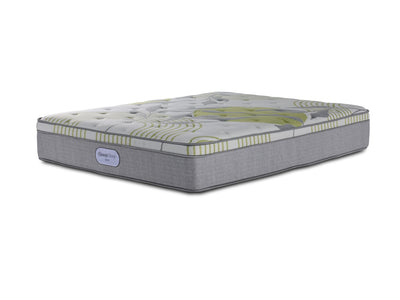 In Full Bloom - BeautySleep Max Drift Euro Top Medium Queen Mattress