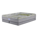 In Full Bloom - BeautySleep Max Drift Euro Top Medium Queen Mattress and Low Profile Split Boxspring Set