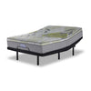 In Full Bloom - BeautySleep Max Drift Euro Top Medium Queen Mattress and L2 Motion Adjustable Base