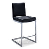 Dyane Counter Height Stool - Black, Chrome