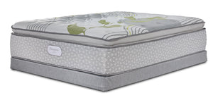 Beautyrest Max+ Essence Euro Top Luxury Firm Queen Mattress and Low Profile Boxspring Set
