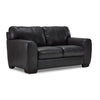 Halden Leather Loveseat - Carbon Grey