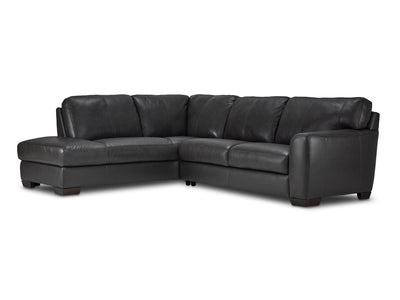 Halden Leather 2-Piece Sectional with Left Facing Chaise - Carbon Grey
