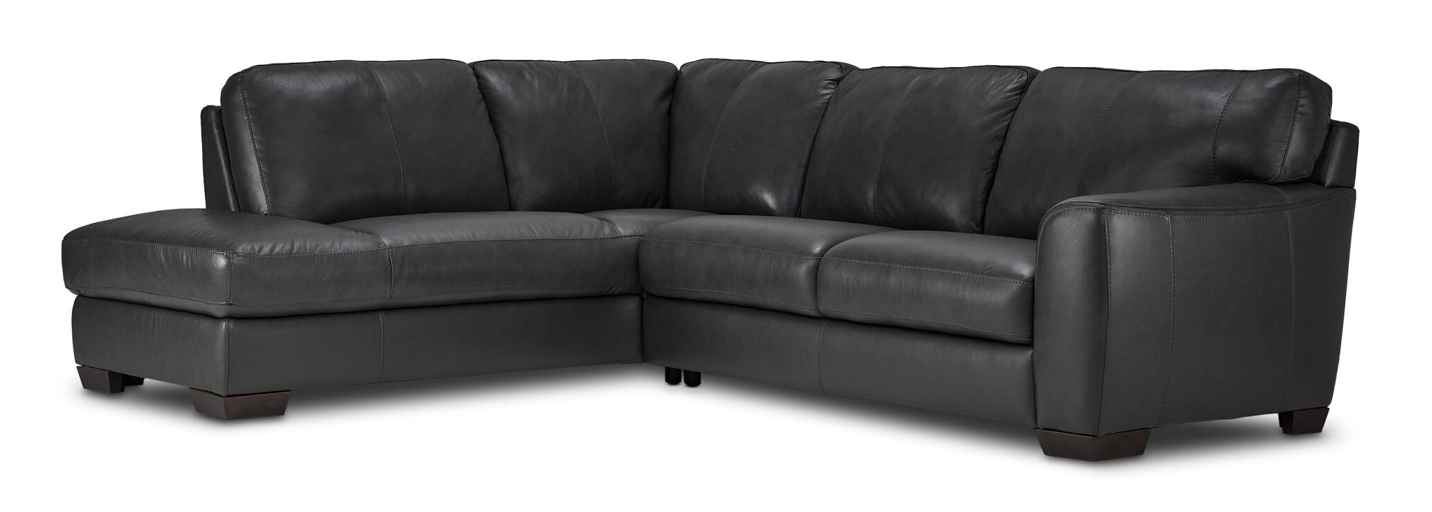 Halden Leather 2-Piece Sectional with Right Facing Chaise - Carbon Grey