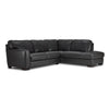 Halden Leather 2-Piece Sectional with Right Facing Chaise - Carbon Grey