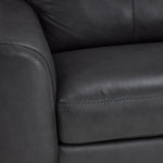 Halden Leather 2-Piece Sectional with Right Facing Chaise - Carbon Grey