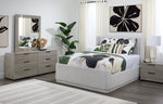 In Full Bloom - Hallie 3-Piece Full Upholstered Bed - Light Grey