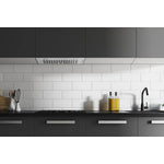 Hauslane Stainless Steel 30" 600 CFM Range Hood Insert - IN-R100SS-30
