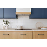 Hauslane Stainless Steel 42" 800 CFM Range Hood Insert - IN-R200SS-42
