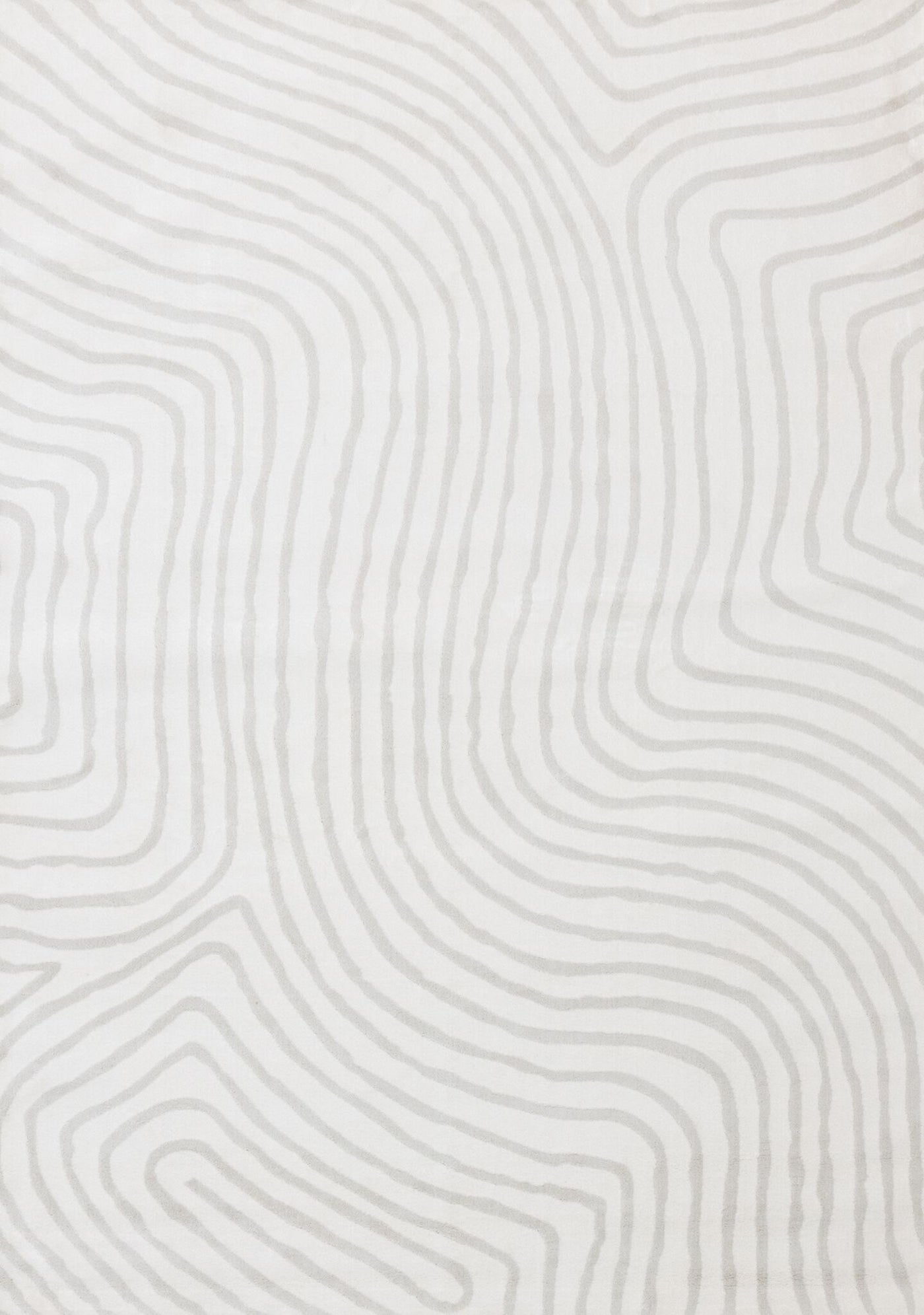 Hayden 6'7" x 9'6" Swirling Lines Area Rug - Grey
