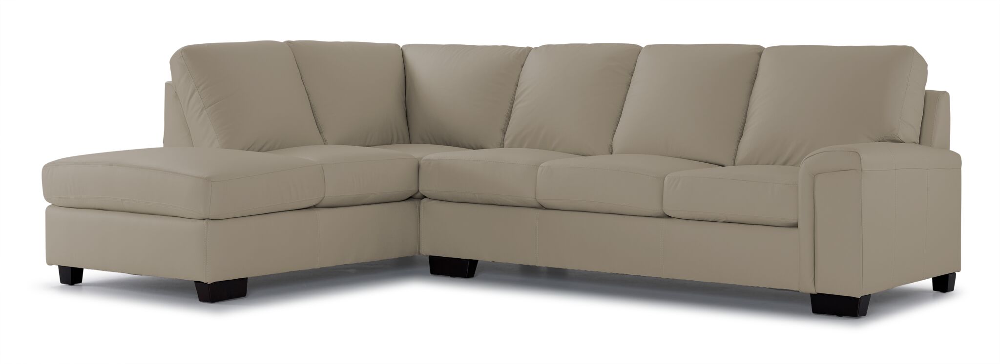 Icon Leather 2-Piece Sectional with Left Facing Chaise