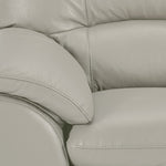 Kendrick Leather Sofa and Loveseat Set - Silver Grey