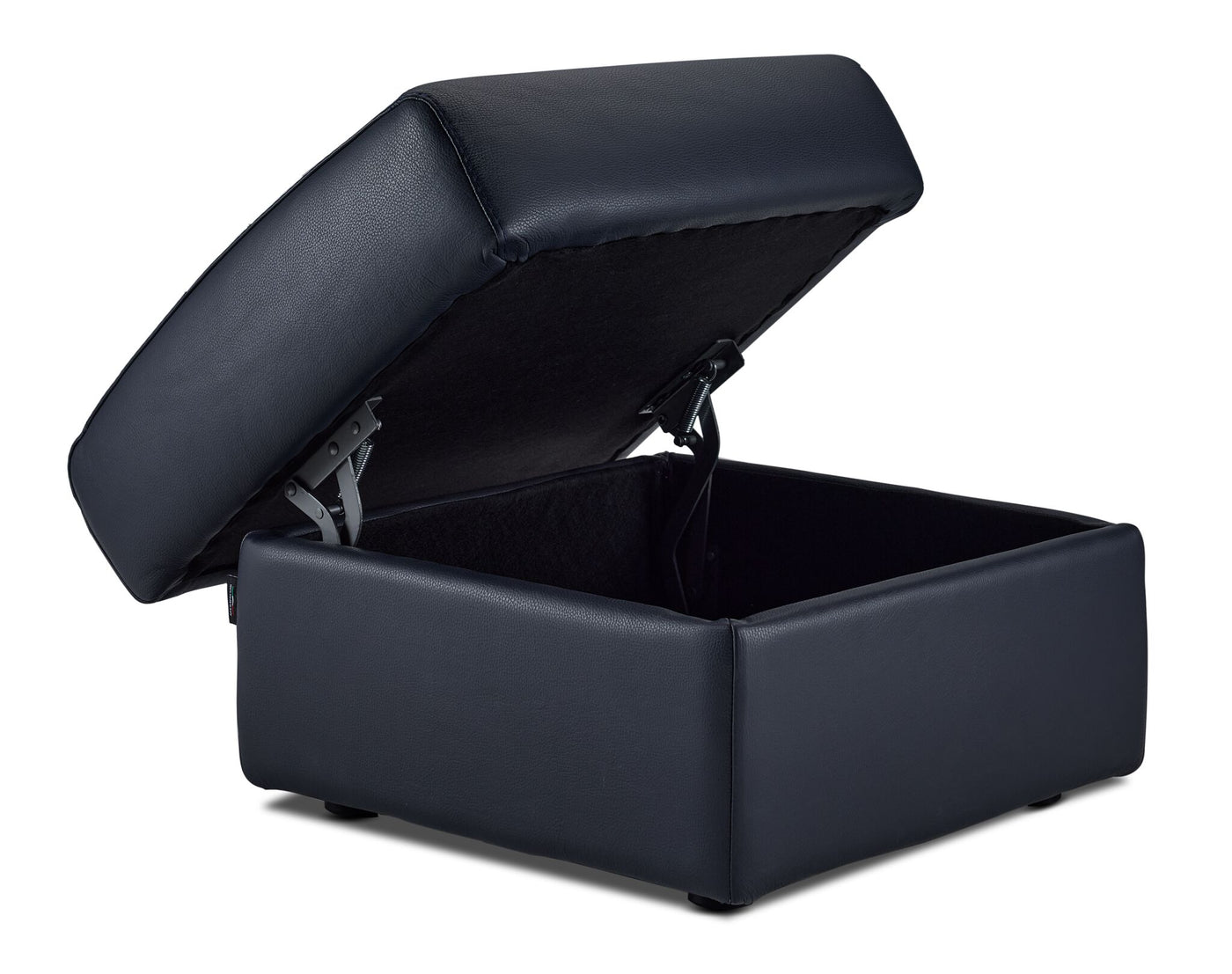 Orlando-Ray Leather Storage Ottoman - Navy Blue