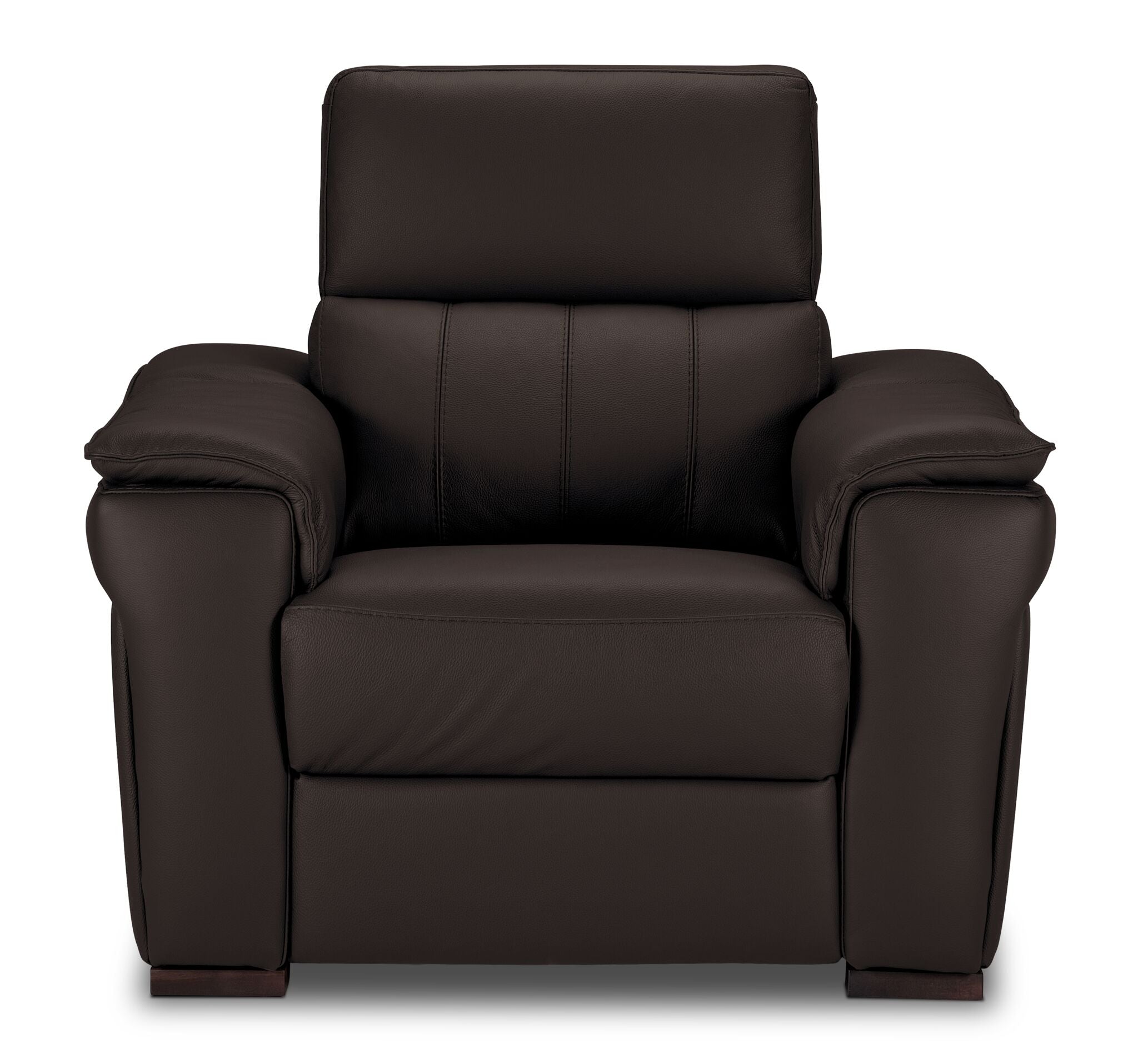 Orlando-Ray Leather Chair - Chocolate