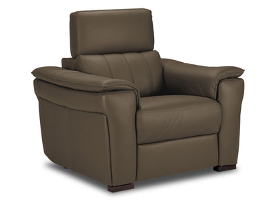 Orlando-Ray Leather Chair - Taupe