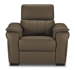 Orlando-Ray Leather Chair - Taupe