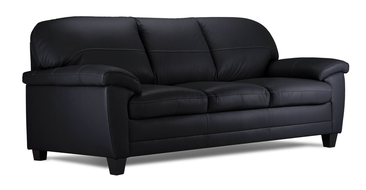 Raphael Leather Sofa and Chair Set- Raven