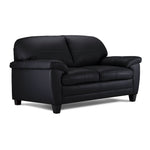 Raphael Leather Loveseat- Raven