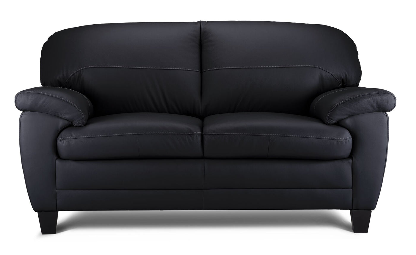 Raphael Leather Loveseat- Raven