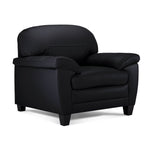Raphael Leather Sofa and Chair Set- Raven