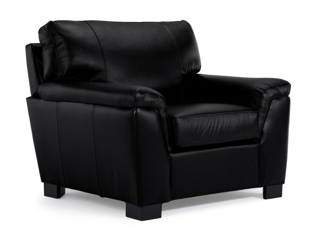 Reynolds Leather Sofa and Chair Set - Black