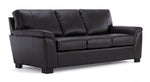 Reynolds Leather Sofa and Chair Set - Coffee