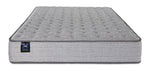 Sealy Burchelle Extra Firm Tight Top Twin mattress with tufted grey surface and Sealy branding, front view
