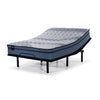 Sealy® Essentials Remy Firm Eurotop Queen Mattress and L2 Motion Adjustable Base 2.0
