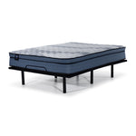 Sealy® Essentials Remy Firm Eurotop Queen Mattress and L2 Motion Adjustable Base 2.0
