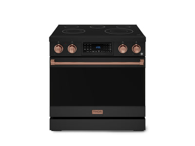 Thor Kitchen Black Stainless Steel Freestanding Professional Electric Range|Gordon Ramsay Series (6 cu.ft) - RSE36B-RSG