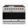 Thor Kitchen Stainless Steel Freestanding Professional Double Oven Gas Range|Gordon Ramsay Series (7 cu.ft.) - RSG48E-RSG