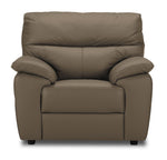 Toscana Leather Chair - Taupe