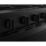 Whirlpool Black Slide-In Gas Convection Range (5 cu.ft.) - WSGS5030SB