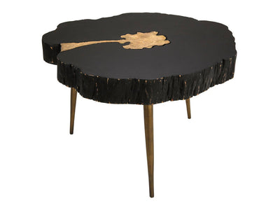 Taaibos Coffee Table - Black/Brass