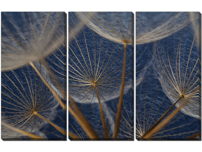 Blue Dandelions Wall Art - Blue - 45 X 30 - Set of 3