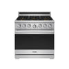 Thor Kitchen Stainless Steel Natural Gas Range (6.0 cu ft.) - XRG36E