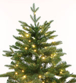 Lindenn 7ft Life-like Frasier Fir Pre-lit Christmas Tree - Warm White