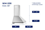 Hauslane Chef Series Matte White 30" 860 CFM Wall Mount Range Hood - WM-538WHT-30