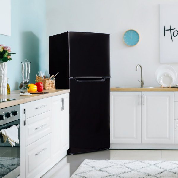 Danby 23.5" 10.1 Cu. Ft. Black Top-Freezer Refrigerator - DFF101B1BDB