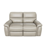 Roarke Reclining Loveseat - Silver Grey