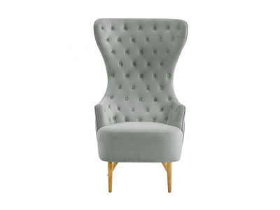 Chiku Velvet Wingback Accent Chair - Grey