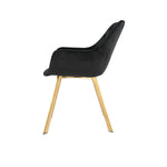 Ayami Dining Arm Chair - Black, Gold