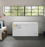 GE White Manual Defrost Chest Freezer (15.7 Cu. Ft.) - FCM16SLWW